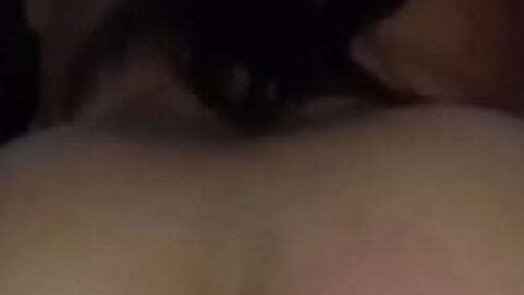 House: Amateur Couple featuring Anal