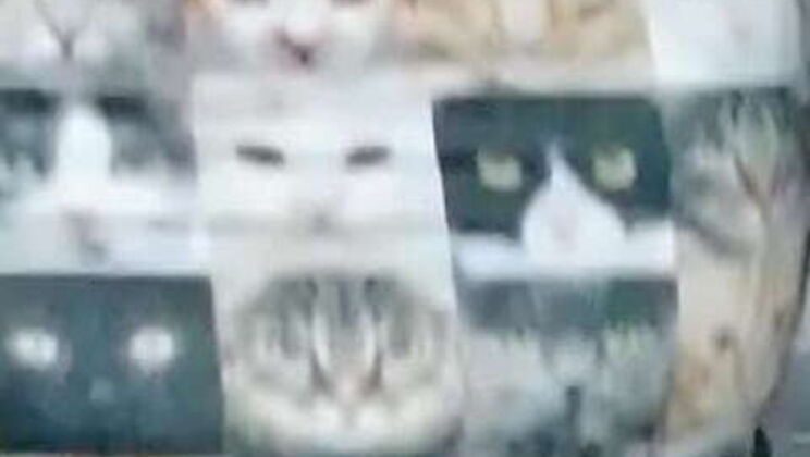 Homemade MILF anal action from Mexico