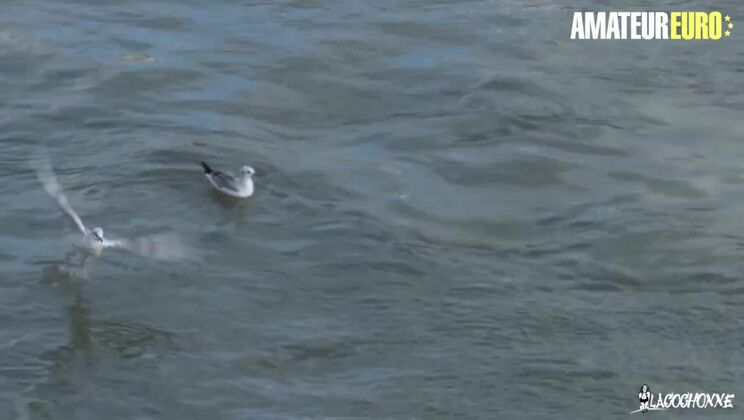 AmateurEuro - Slutty Petite Dutch Teen GETS Creampied and Cum In Mouth