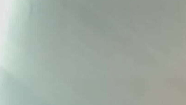 Young Slut Giving Sloppy Head