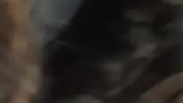 Amateur Latina Teen Blowjob - Crisanto999 & Estefani POV Fuck