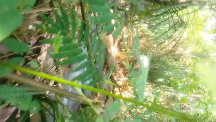 Shani Wal Outdoor Fuck with Sri Lankan Couple in Jungle