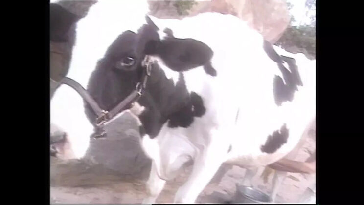 Goddesses of Lust 2 - Episode 1: Blowjob & Facial with Backey Jakic and Big Cock Mark Wood (HD Vintage)