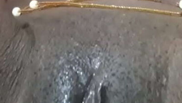 Sexy Diva Homemade Solo Masturbation - Big Butt Ebony with Wet Pussy & Real Orgasm