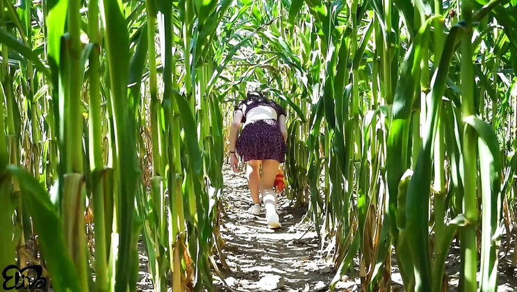 Horny Brunette Gives Blowjob in Cornfield - Outdoor POV Creampie