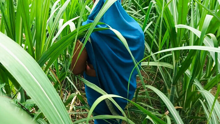 Desi Bhabhi Hardcore Anal and Blowjob in Sugarcane Field - Indian Village Sex