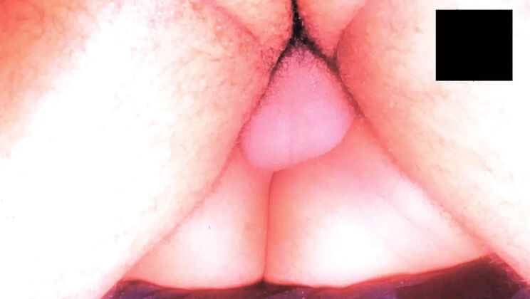 Desu Called Me For Sex - Big Tits Latina Sucks Cock & Gets Filled With Cum POV