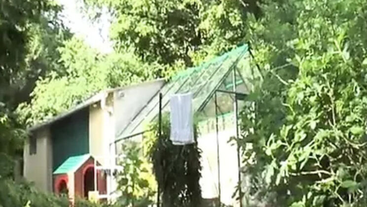 Mistress Flo Dominates Novice Submissive: Anal Dildo, Pissing & Whipping