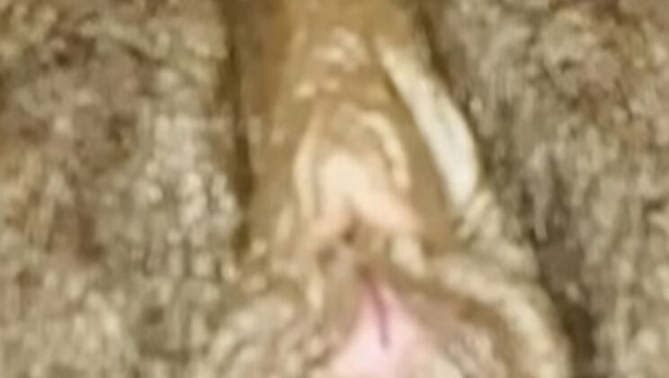 Black Solo Girl AlliyahAlecia1 Licking Pretty Brown Pussy For Women